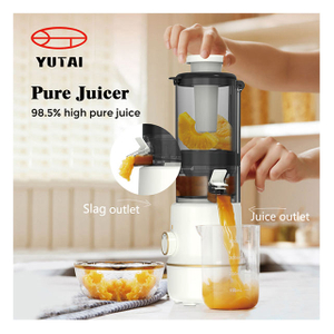 200W big mouth Orange Electric Blender Carrot Extractor Machine Cold Press Professional Commercial Slow Juicer