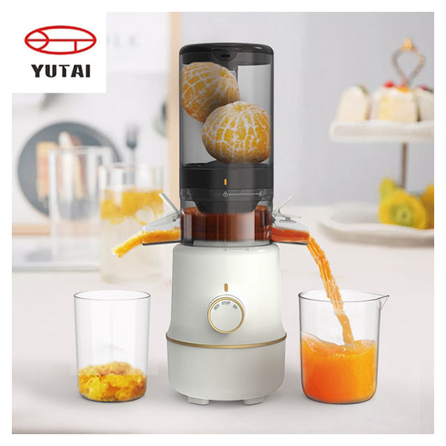 big mouth commercial fruit vegetable cold press juicer extractor machine slow masticating juicer