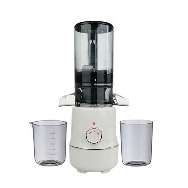 200W big mouth Orange Electric Blender Carrot Extractor Machine Cold Press Professional Commercial Slow Juicer