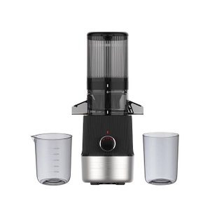 Factory outlet easy to install big mouth high quality original high purity fruit cold press slow juicer machine