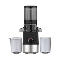 Professional Electric Automatic Slow Masticating Mango Lemon Orange Fruit Juicer Machine Juice Extractor